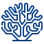Coral AI